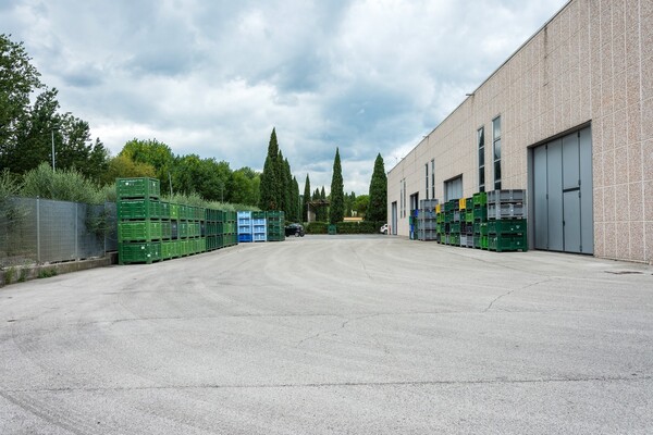 1#4509 Cessione di azienda in vendita - foto 4