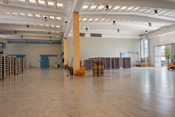 1#4509 Cessione di azienda in vendita - foto 5