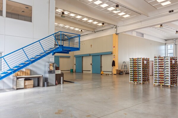 1#4509 Cessione di azienda in vendita - foto 10