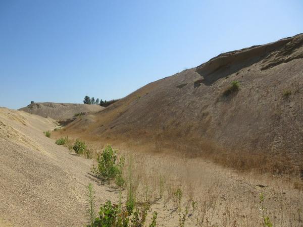 3#4552 Sabbia da cava alluvionale in vendita - foto 6