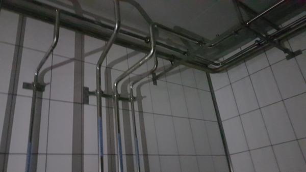 1#4590 Cisterna refrigerante Frigomilk e attrezzature per caseificio in vendita - foto 10