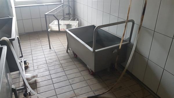 1#4590 Cisterna refrigerante Frigomilk e attrezzature per caseificio in vendita - foto 31