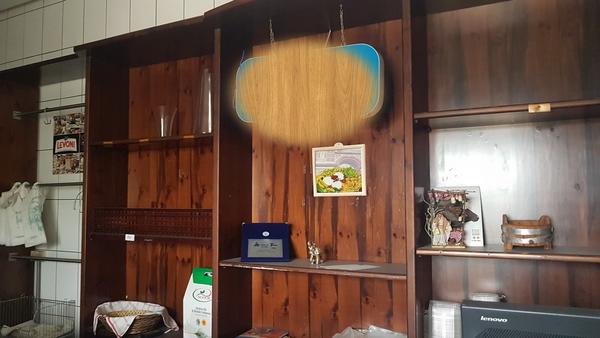 1#4590 Cisterna refrigerante Frigomilk e attrezzature per caseificio in vendita - foto 65