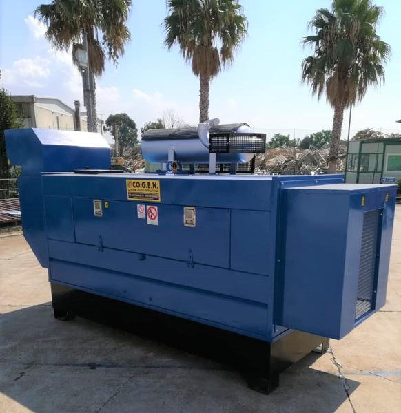 1#4594 Gruppo elettrogeno Cogen GEP1000l in vendita - foto 1