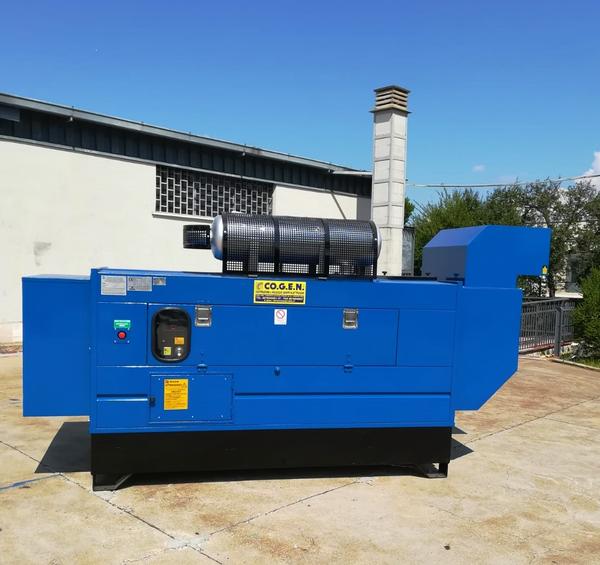 1#4594 Gruppo elettrogeno Cogen GEP1000l in vendita - foto 2