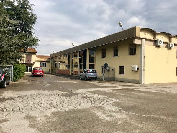 1#45980 Ramo di azienda dedita alla produzione e commercio di vini e prodotti liquorosi in vendita - foto 1