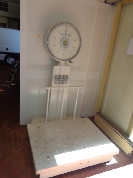 1#45980 Ramo di azienda dedita alla produzione e commercio di vini e prodotti liquorosi in vendita - foto 7