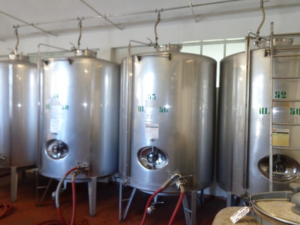 1#45980 Ramo di azienda dedita alla produzione e commercio di vini e prodotti liquorosi in vendita - foto 16