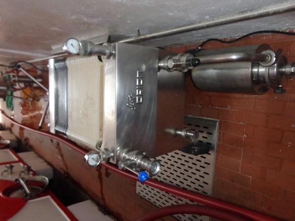 1#45980 Ramo di azienda dedita alla produzione e commercio di vini e prodotti liquorosi in vendita - foto 21