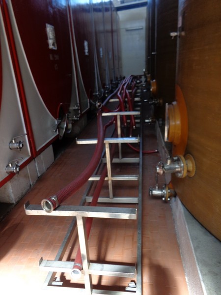 1#45980 Ramo di azienda dedita alla produzione e commercio di vini e prodotti liquorosi in vendita - foto 23