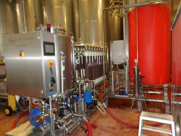 1#45980 Ramo di azienda dedita alla produzione e commercio di vini e prodotti liquorosi in vendita - foto 63