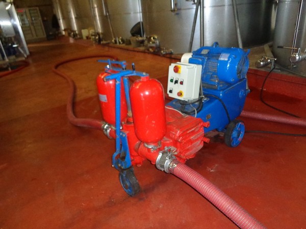 1#45980 Ramo di azienda dedita alla produzione e commercio di vini e prodotti liquorosi in vendita - foto 75