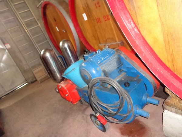 1#45980 Ramo di azienda dedita alla produzione e commercio di vini e prodotti liquorosi in vendita - foto 76