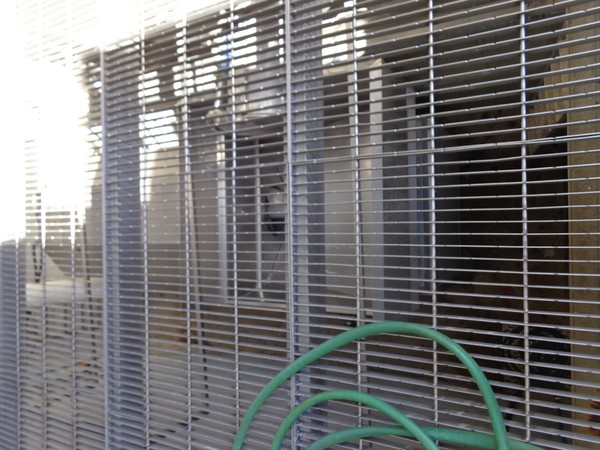 1#45980 Ramo di azienda dedita alla produzione e commercio di vini e prodotti liquorosi in vendita - foto 78