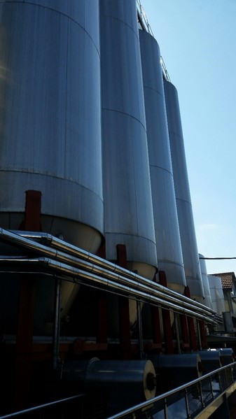 1#45980 Ramo di azienda dedita alla produzione e commercio di vini e prodotti liquorosi in vendita - foto 139