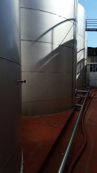 1#45980 Ramo di azienda dedita alla produzione e commercio di vini e prodotti liquorosi in vendita - foto 141