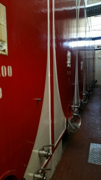 1#45980 Ramo di azienda dedita alla produzione e commercio di vini e prodotti liquorosi in vendita - foto 148