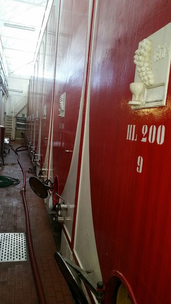 1#45980 Ramo di azienda dedita alla produzione e commercio di vini e prodotti liquorosi in vendita - foto 150