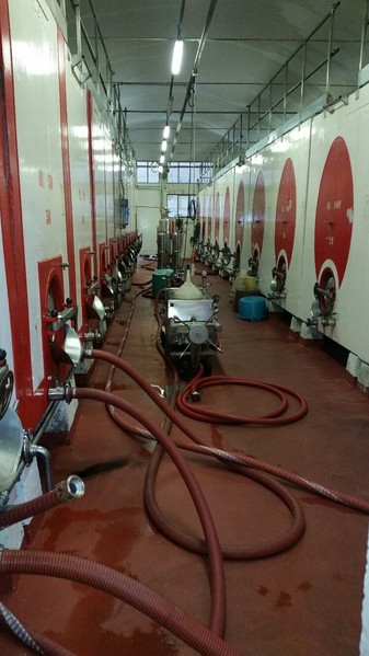 1#45980 Ramo di azienda dedita alla produzione e commercio di vini e prodotti liquorosi in vendita - foto 153