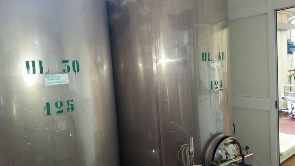 1#45980 Ramo di azienda dedita alla produzione e commercio di vini e prodotti liquorosi in vendita - foto 159