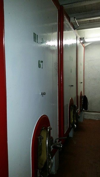 1#45980 Ramo di azienda dedita alla produzione e commercio di vini e prodotti liquorosi in vendita - foto 163