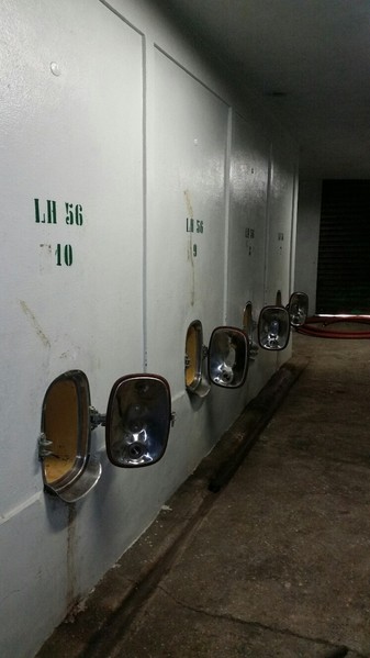 1#45980 Ramo di azienda dedita alla produzione e commercio di vini e prodotti liquorosi in vendita - foto 164