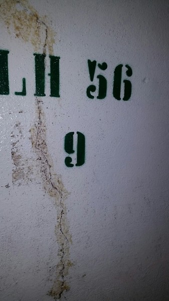 1#45980 Ramo di azienda dedita alla produzione e commercio di vini e prodotti liquorosi in vendita - foto 166