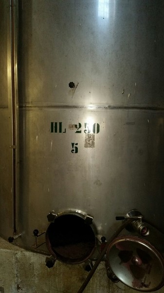 1#45980 Ramo di azienda dedita alla produzione e commercio di vini e prodotti liquorosi in vendita - foto 171