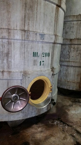 1#45980 Ramo di azienda dedita alla produzione e commercio di vini e prodotti liquorosi in vendita - foto 176