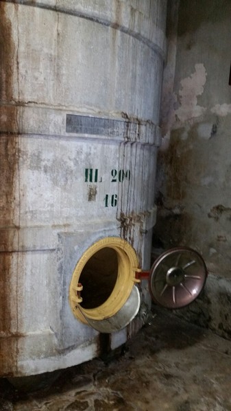 1#45980 Ramo di azienda dedita alla produzione e commercio di vini e prodotti liquorosi in vendita - foto 177