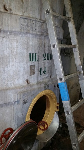 1#45980 Ramo di azienda dedita alla produzione e commercio di vini e prodotti liquorosi in vendita - foto 179