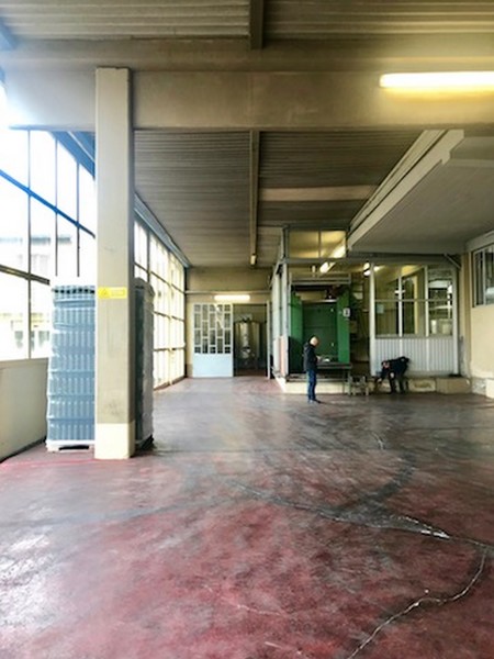 1#45980 Ramo di azienda dedita alla produzione e commercio di vini e prodotti liquorosi in vendita - foto 188