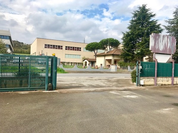 1#45980 Ramo di azienda dedita alla produzione e commercio di vini e prodotti liquorosi in vendita - foto 331
