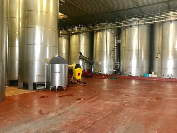 1#45980 Ramo di azienda dedita alla produzione e commercio di vini e prodotti liquorosi in vendita - foto 336