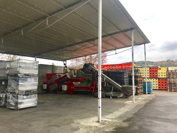 1#45980 Ramo di azienda dedita alla produzione e commercio di vini e prodotti liquorosi in vendita - foto 338