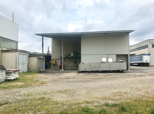 1#45980 Ramo di azienda dedita alla produzione e commercio di vini e prodotti liquorosi in vendita - foto 339