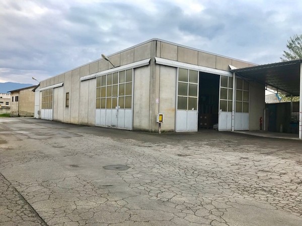 1#45980 Ramo di azienda dedita alla produzione e commercio di vini e prodotti liquorosi in vendita - foto 342