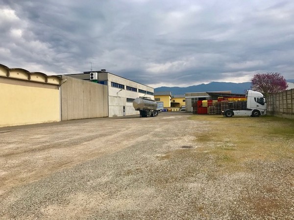 1#45980 Ramo di azienda dedita alla produzione e commercio di vini e prodotti liquorosi in vendita - foto 343