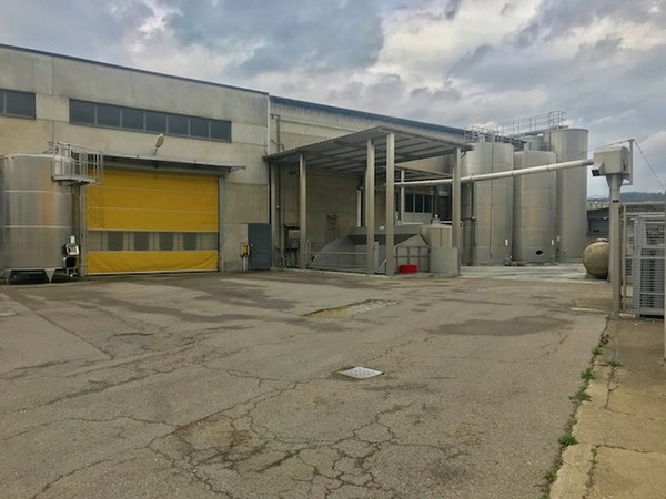 1#45980 Ramo di azienda dedita alla produzione e commercio di vini e prodotti liquorosi in vendita - foto 345