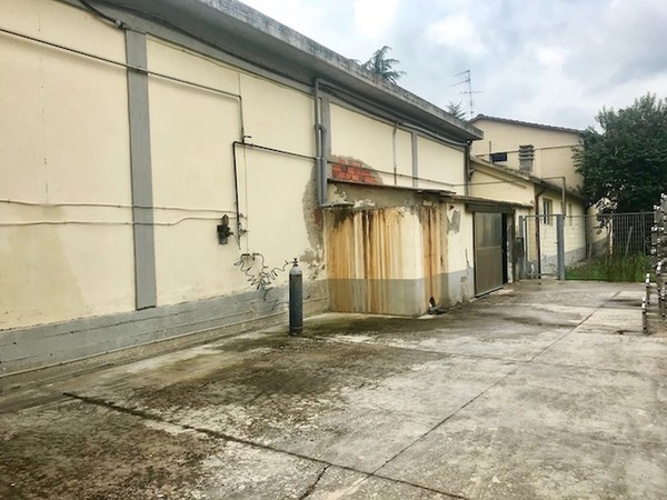 1#45980 Ramo di azienda dedita alla produzione e commercio di vini e prodotti liquorosi in vendita - foto 346