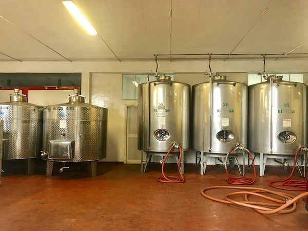 1#45980 Ramo di azienda dedita alla produzione e commercio di vini e prodotti liquorosi in vendita - foto 347