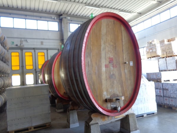 1#45980 Ramo di azienda dedita alla produzione e commercio di vini e prodotti liquorosi in vendita - foto 353