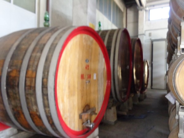 1#45980 Ramo di azienda dedita alla produzione e commercio di vini e prodotti liquorosi in vendita - foto 354