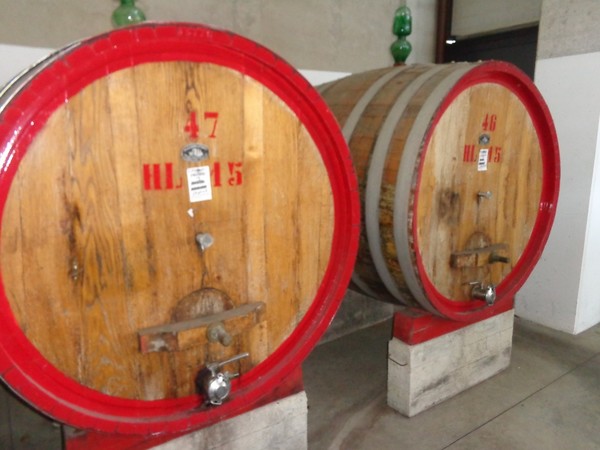 1#45980 Ramo di azienda dedita alla produzione e commercio di vini e prodotti liquorosi in vendita - foto 355