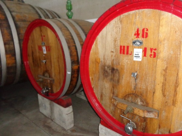 1#45980 Ramo di azienda dedita alla produzione e commercio di vini e prodotti liquorosi in vendita - foto 364