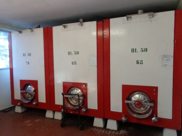 1#45980 Ramo di azienda dedita alla produzione e commercio di vini e prodotti liquorosi in vendita - foto 420