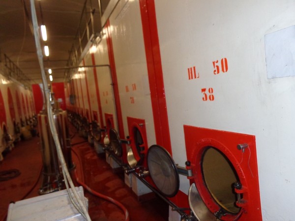 1#45980 Ramo di azienda dedita alla produzione e commercio di vini e prodotti liquorosi in vendita - foto 421