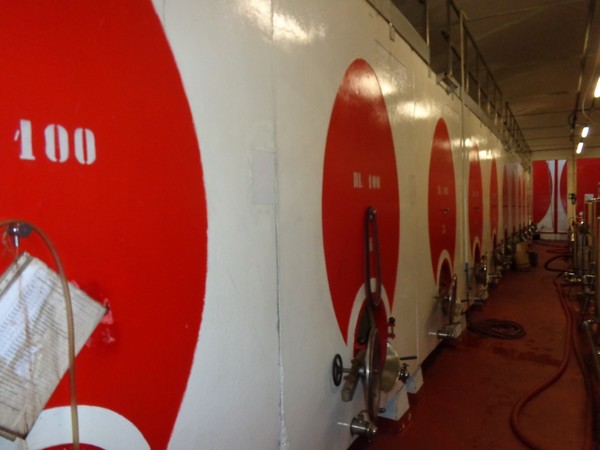 1#45980 Ramo di azienda dedita alla produzione e commercio di vini e prodotti liquorosi in vendita - foto 422