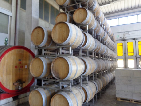 1#4599 Vino sfuso e imbottigliato del Chianti in vendita - foto 1