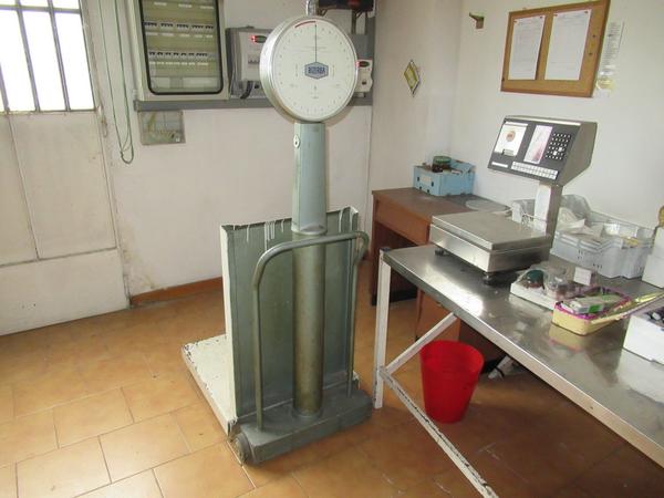 1#4644 Cella frigo e pesa a pavimento Santo Stefano in vendita - foto 17